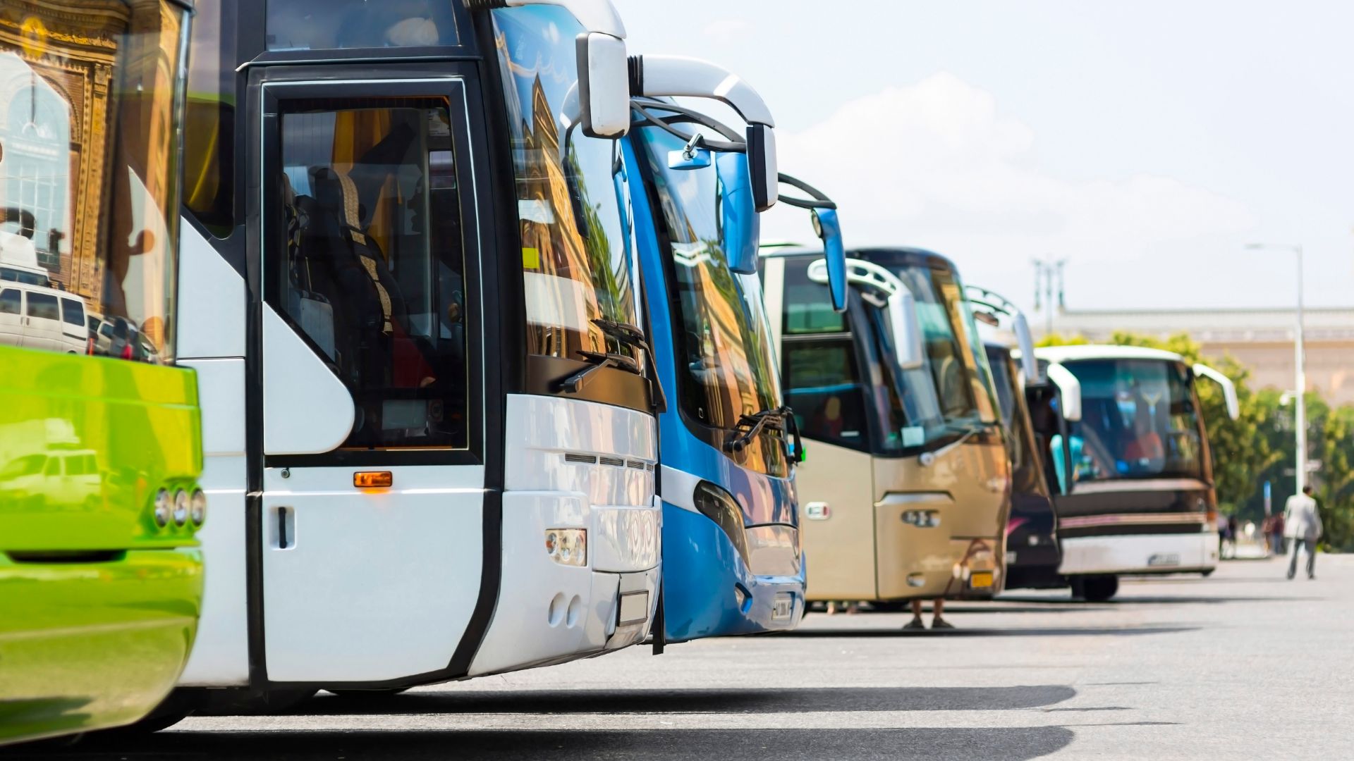 buses-big-.jpg