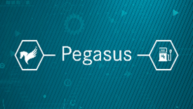 Pegasus